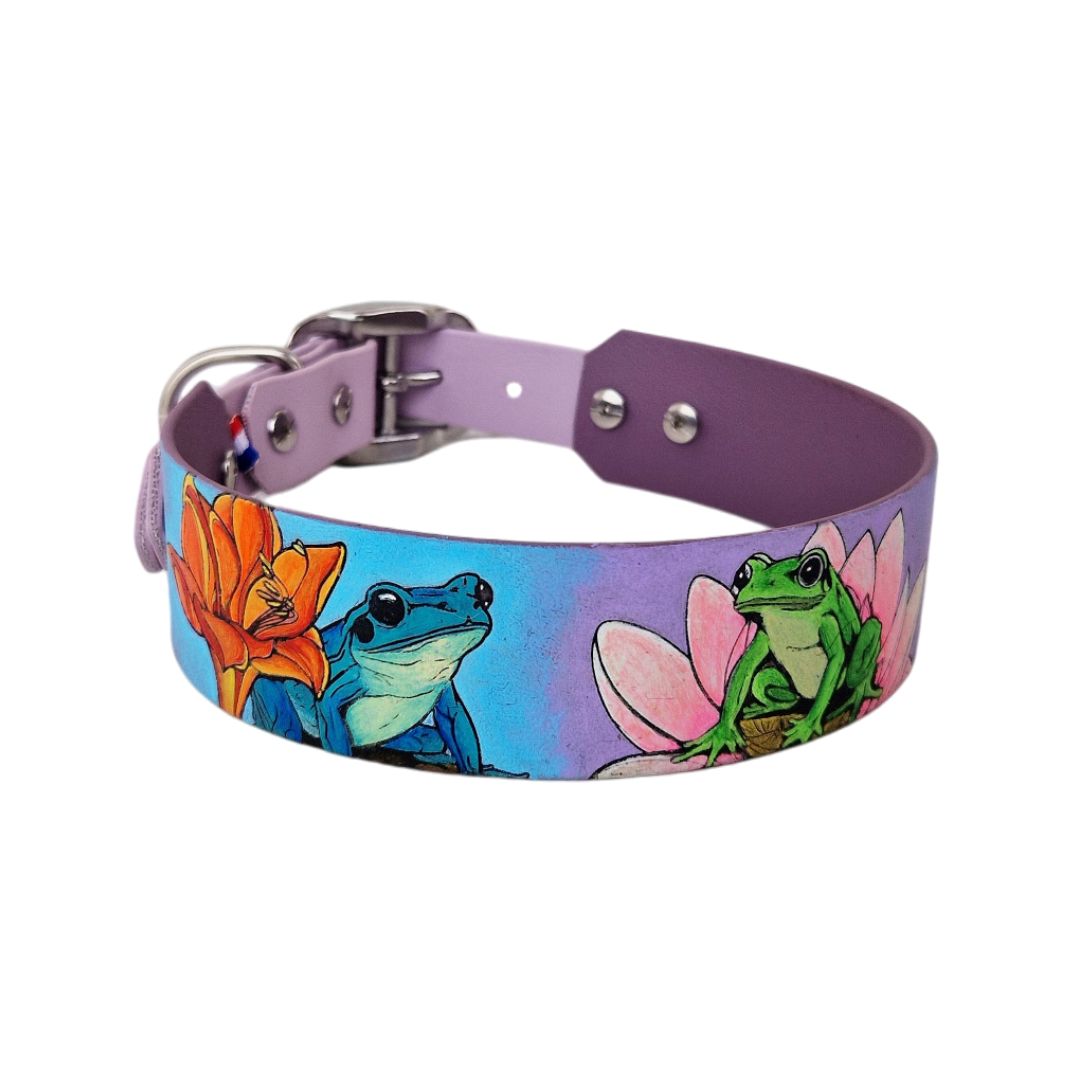 Grenouilles