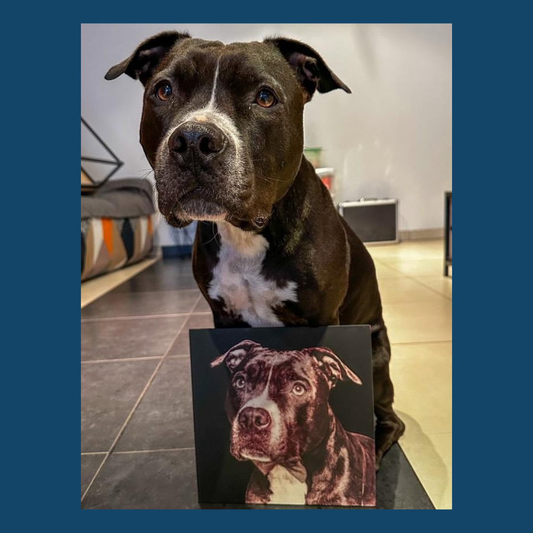 Portrait WOof