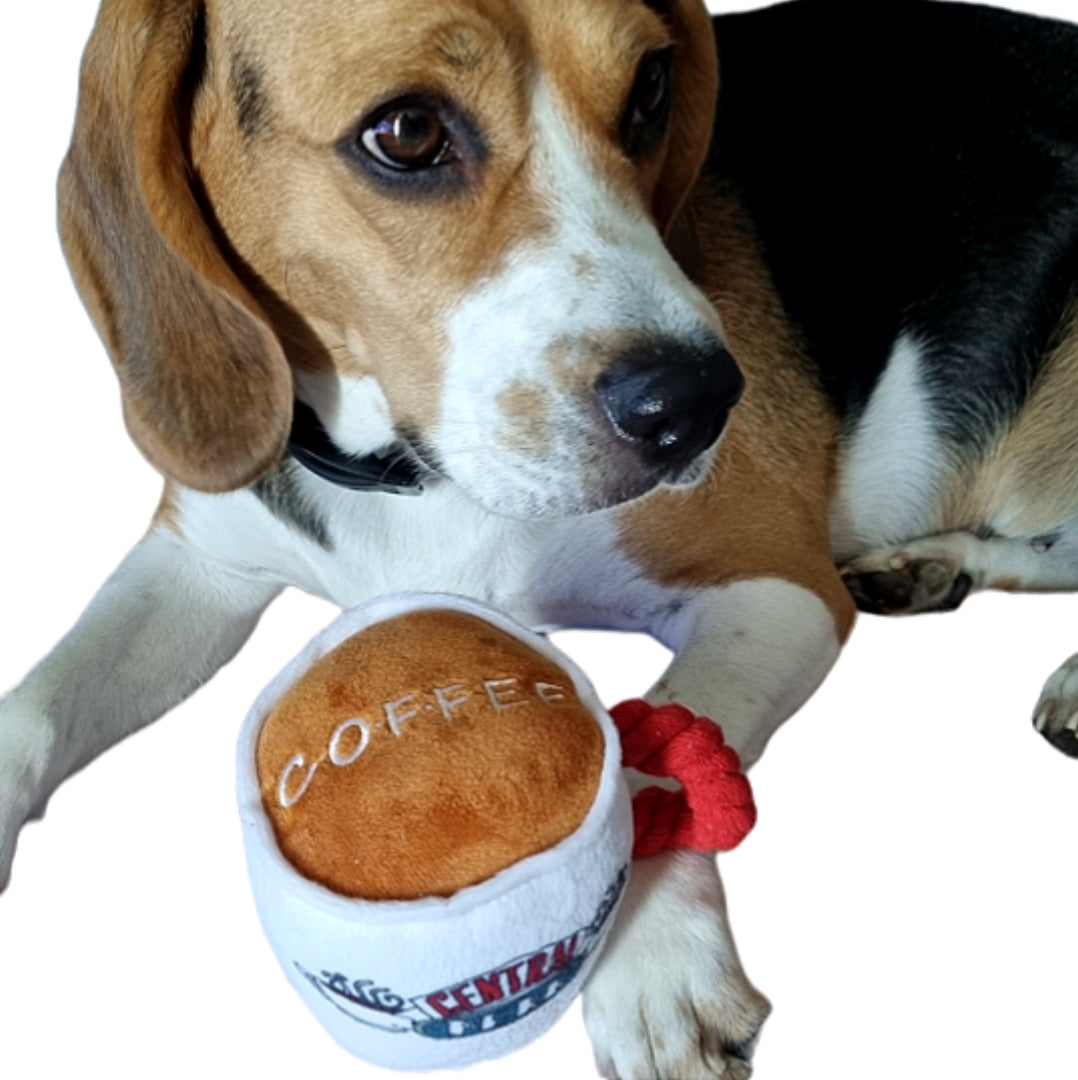 Tasse à café- central perk