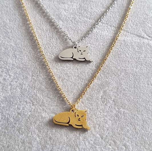 Collier acier