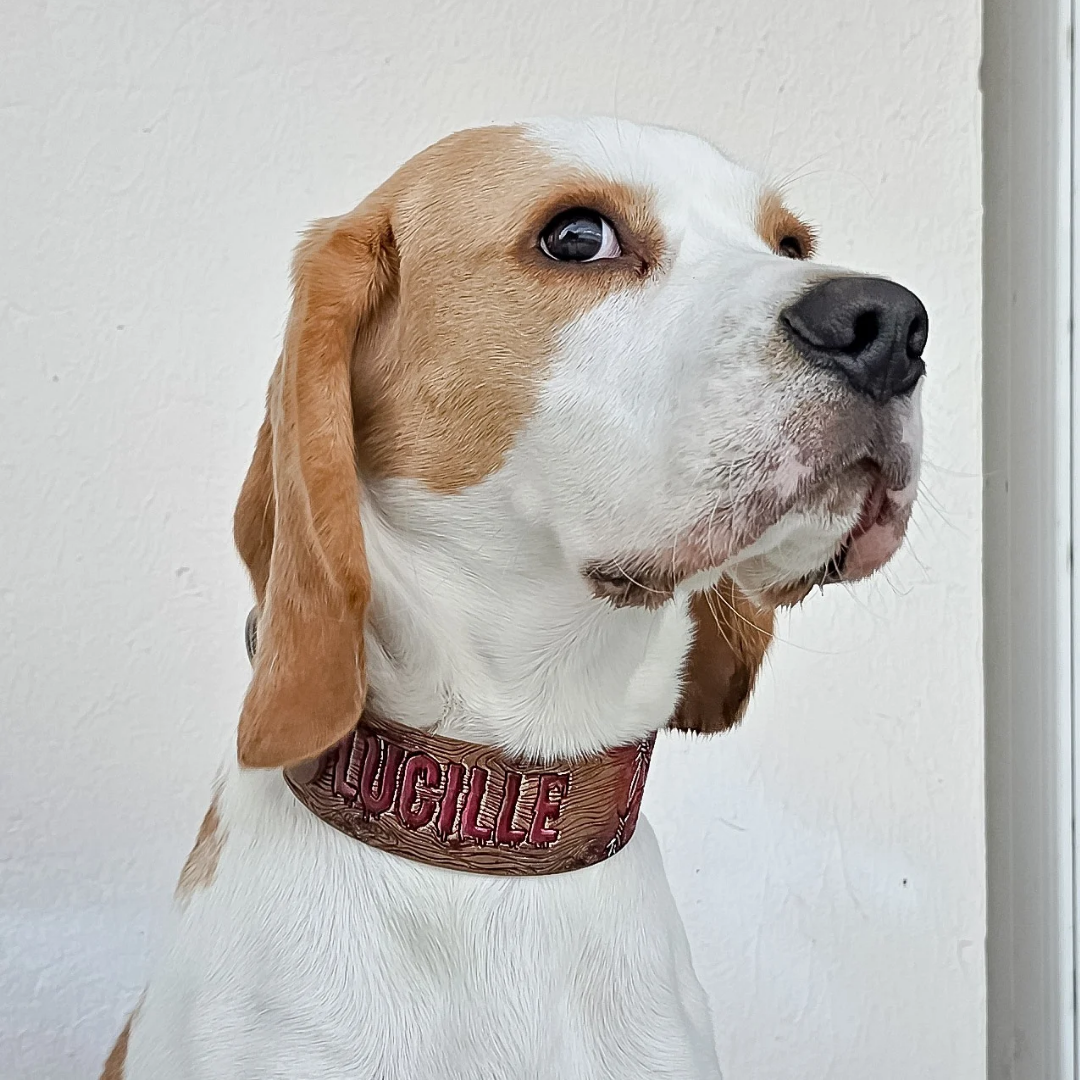 Lucille
