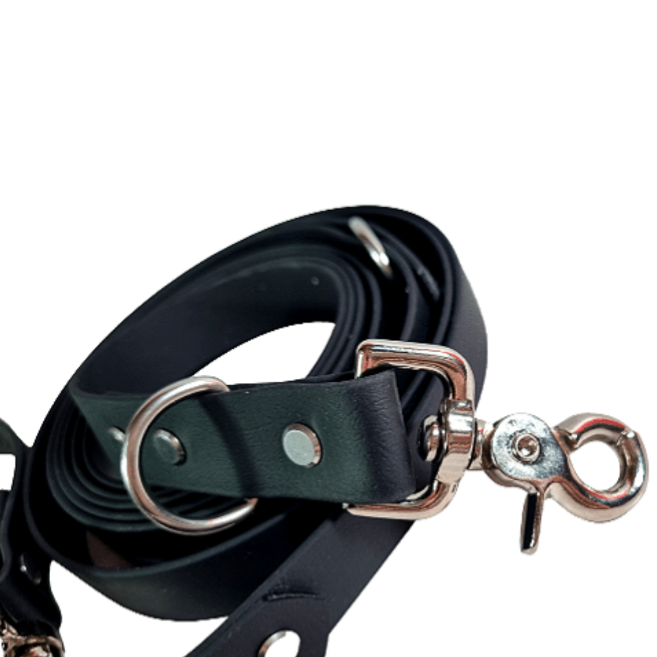 Laisse multi-positions