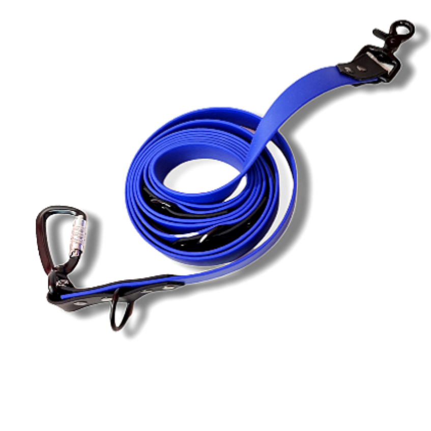 Laisse multi-positions