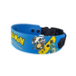 Collier pokemon